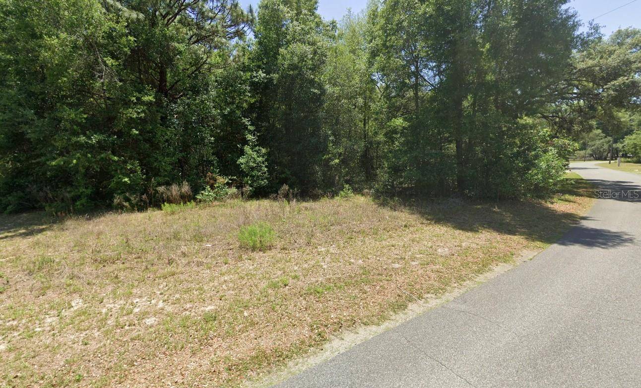 Dunnellon, FL 34431,00 SW 80TH PLACE RD