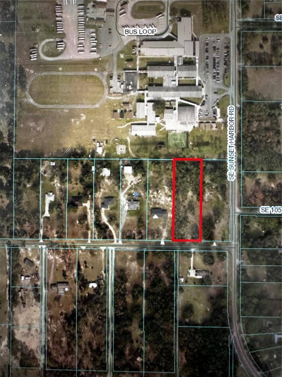 Summerfield, FL 34491,00 SE 155TH ST