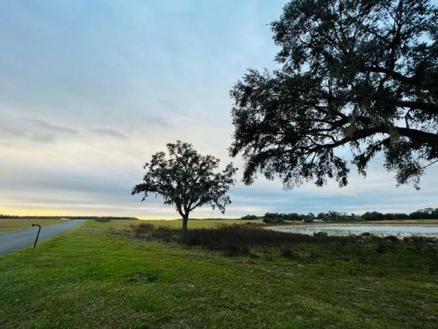 Ocklawaha, FL 32179,TBD SE 74TH LANE RD #8 & #9 West