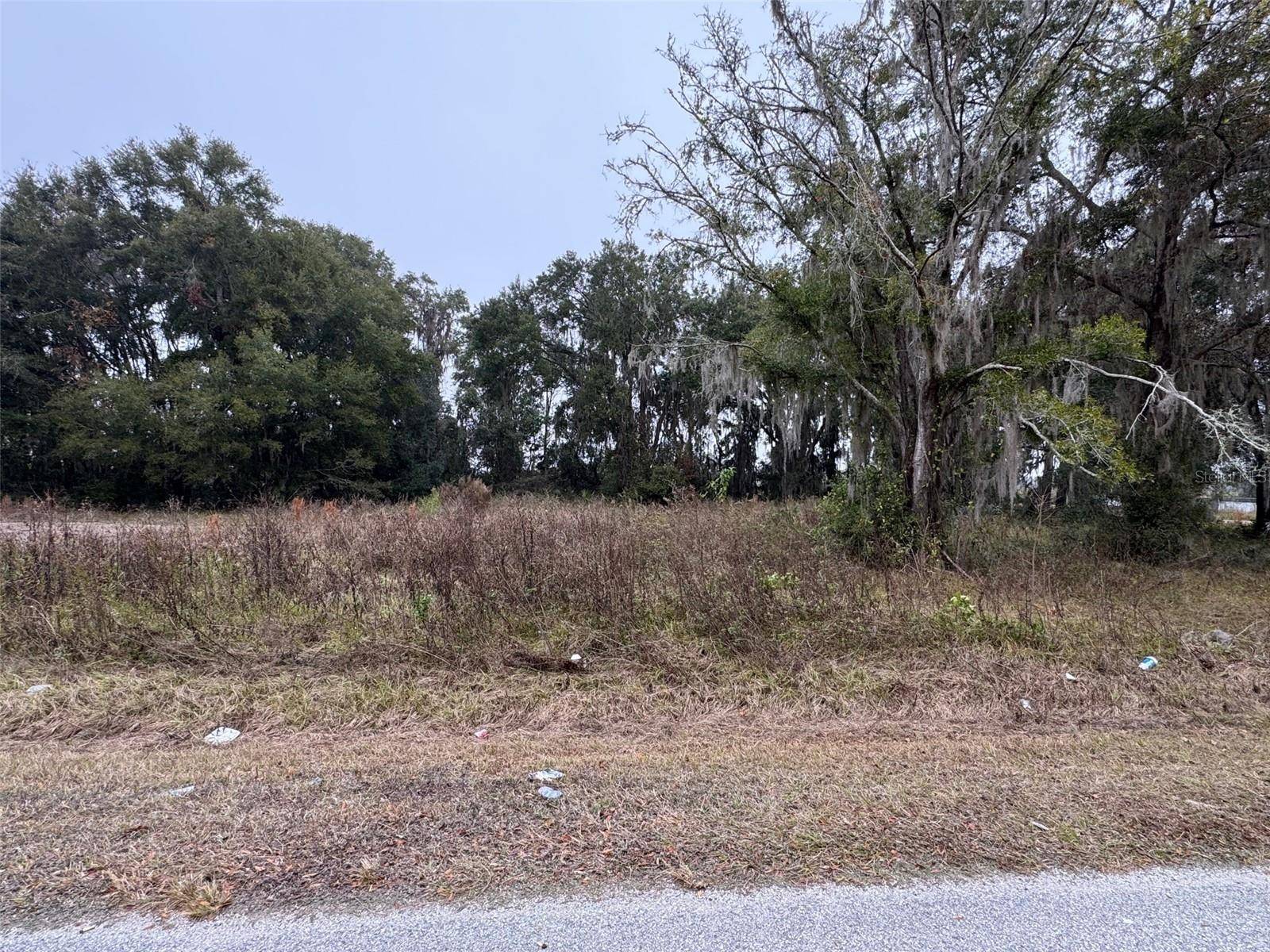 Ocala, FL 34475,TBD NW 69TH ST #LOT 1