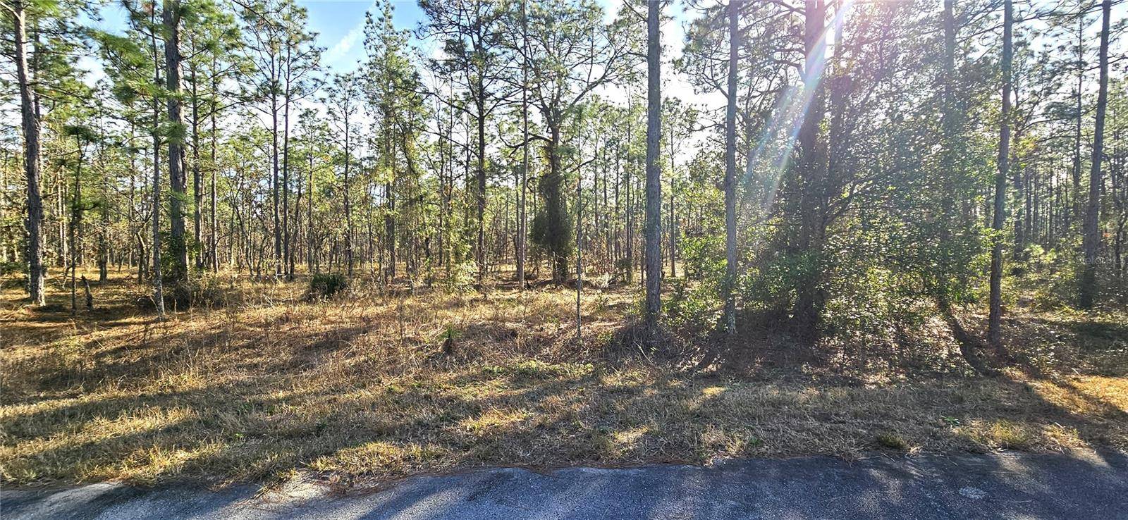 Dunnellon, FL 34431,Lot 21 SW LIME RIDGE