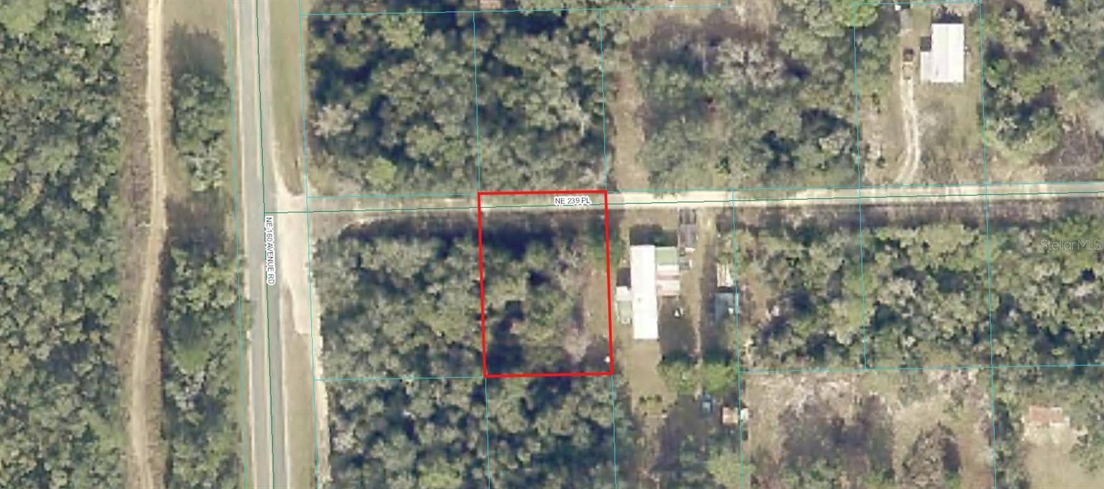 Fort Mc Coy, FL 32134,00 NW 239TH PL