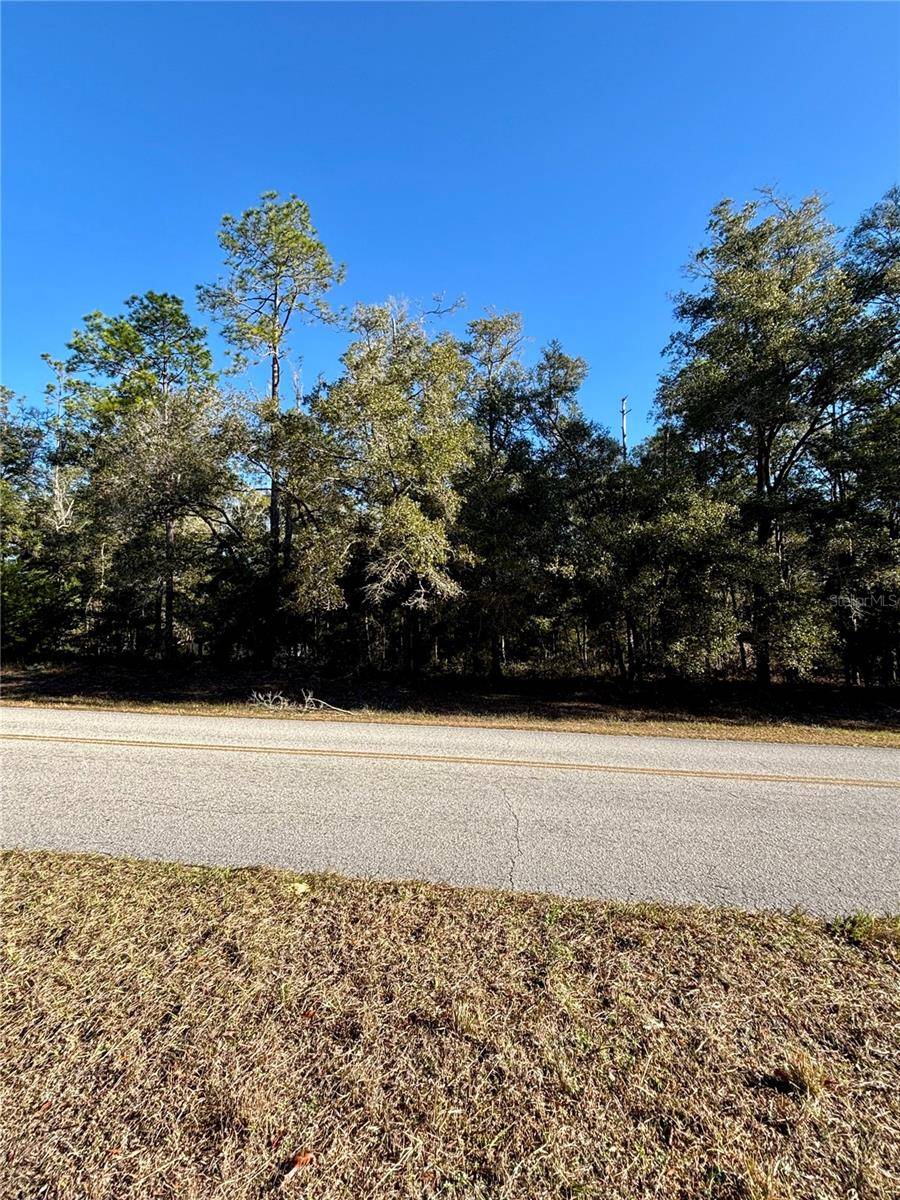 Dunnellon, FL 34431,Lot 23 SW 102 STREET RD