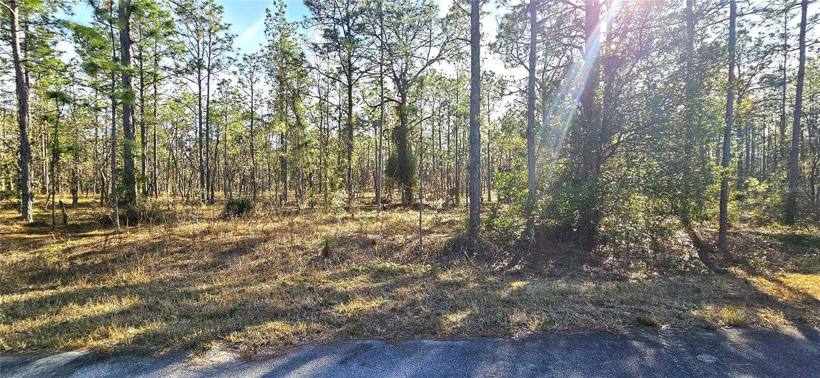 Dunnellon, FL 34431,Lot 13 NW MANDRAKE DR