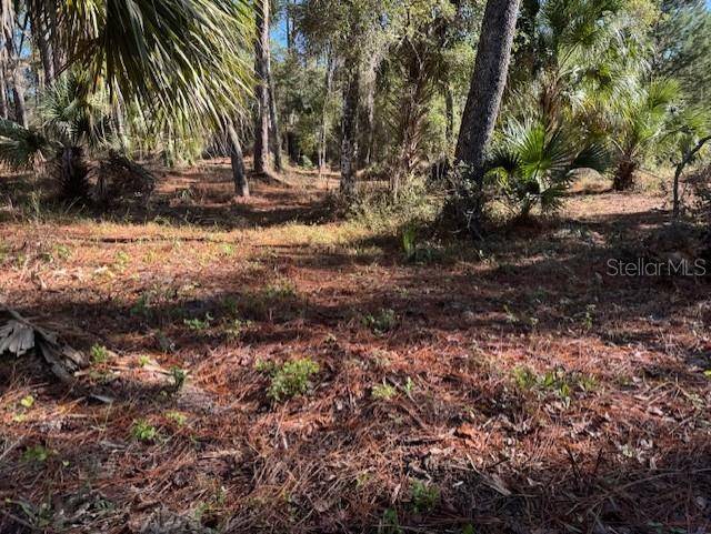 Citrus Springs, FL 34434,8779 N RAMBLE PT #17