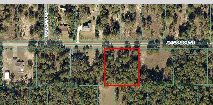 Dunnellon, FL 34431,00 SW AUDUBON AVE