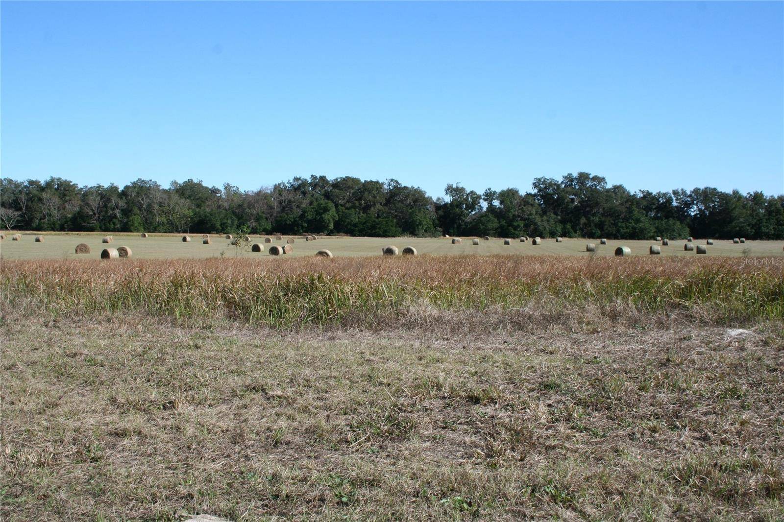 Summerfield, FL 34491,0 S US HWY 301