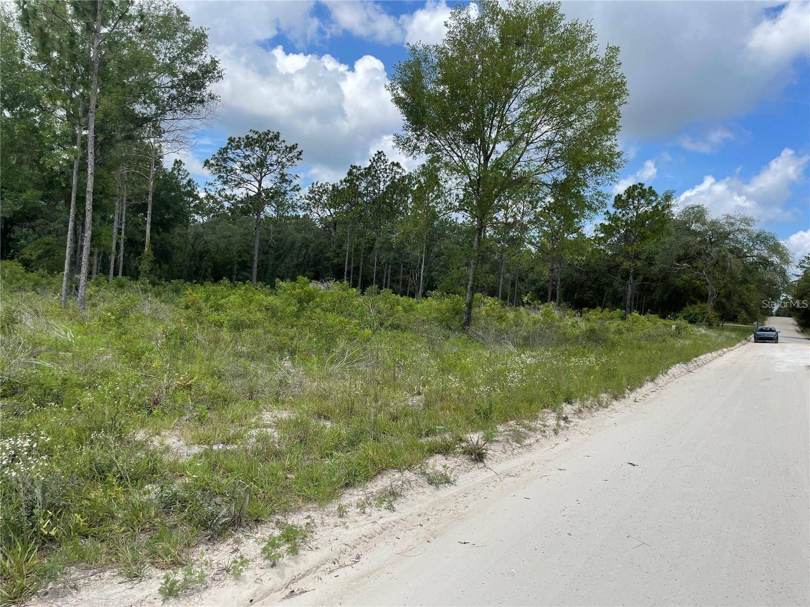 Morriston, FL 32668,TBD SE 23RD PL