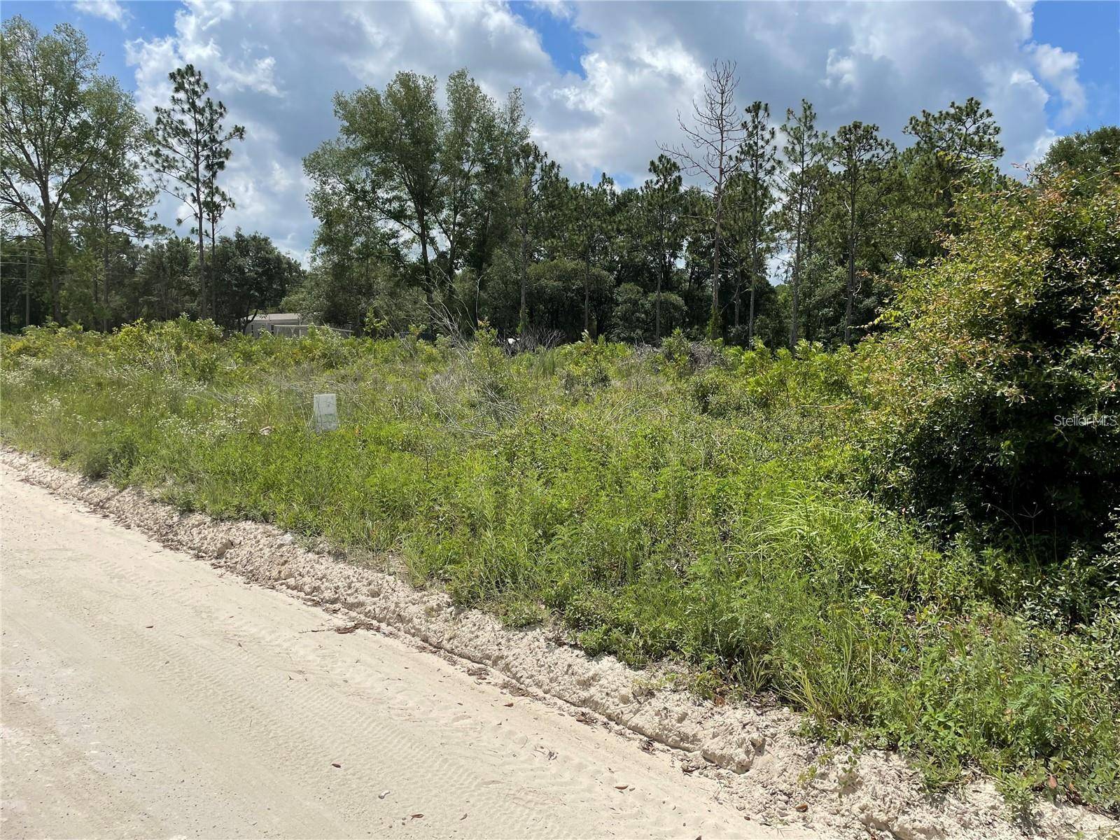 Morriston, FL 32668,TBD SE 23RD PL