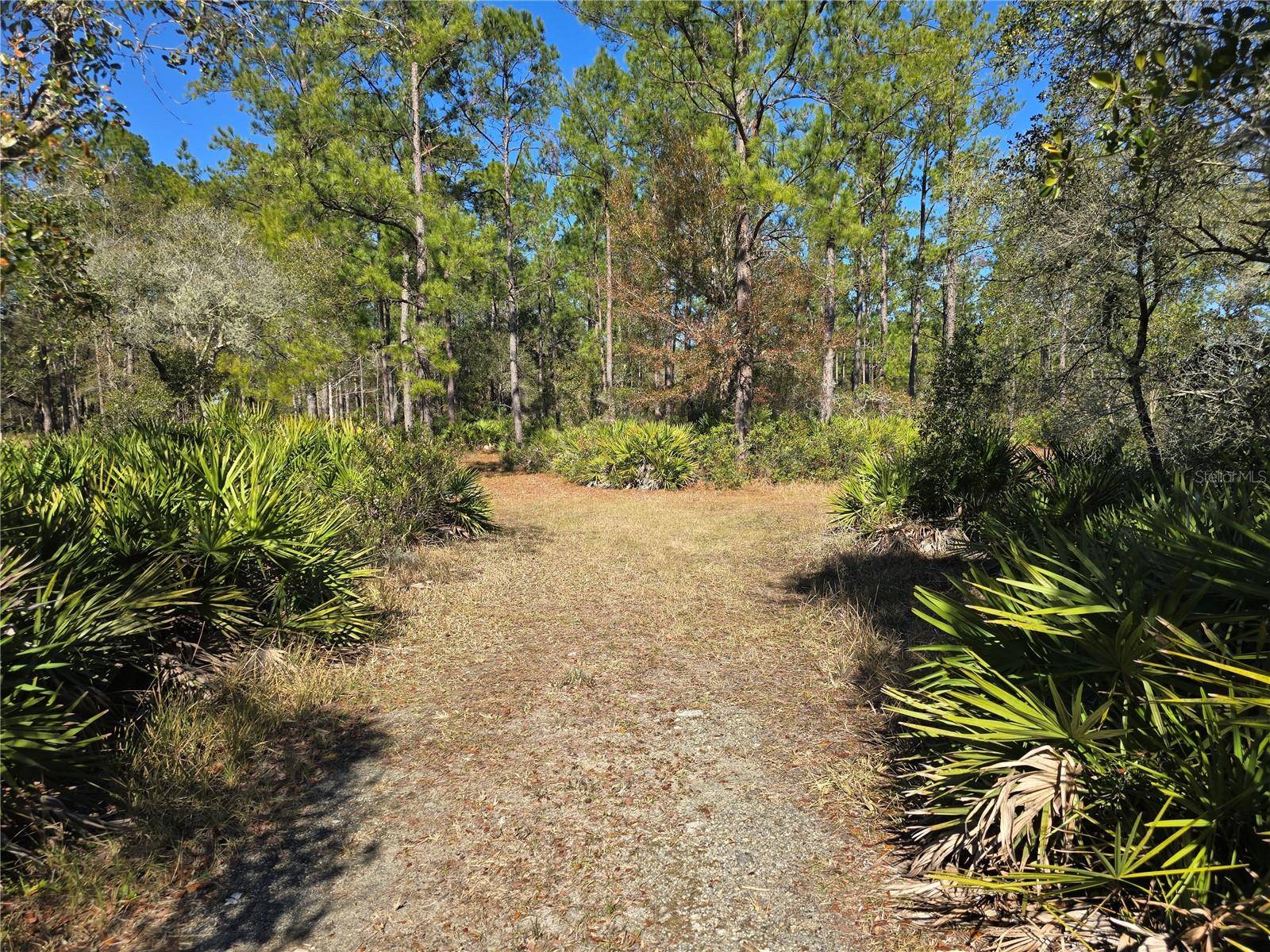 Morriston, FL 32668,3690 SE 54TH AVE