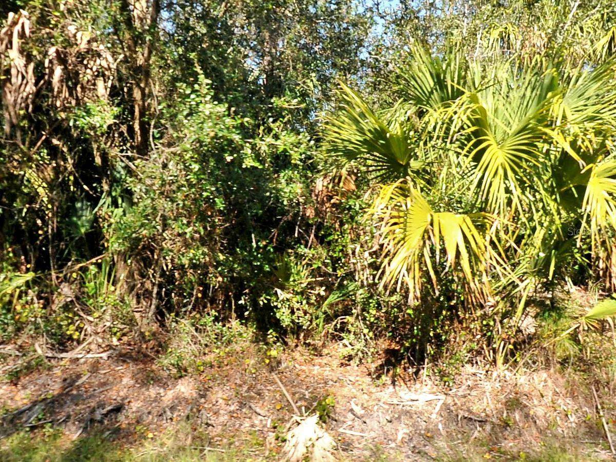 North Port, FL 34286,13 SNUG ST
