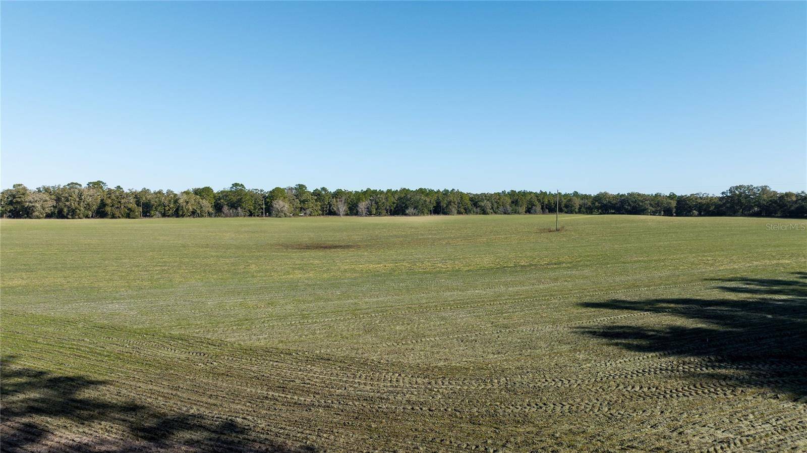 Morriston, FL 32668,00 SE CR 326