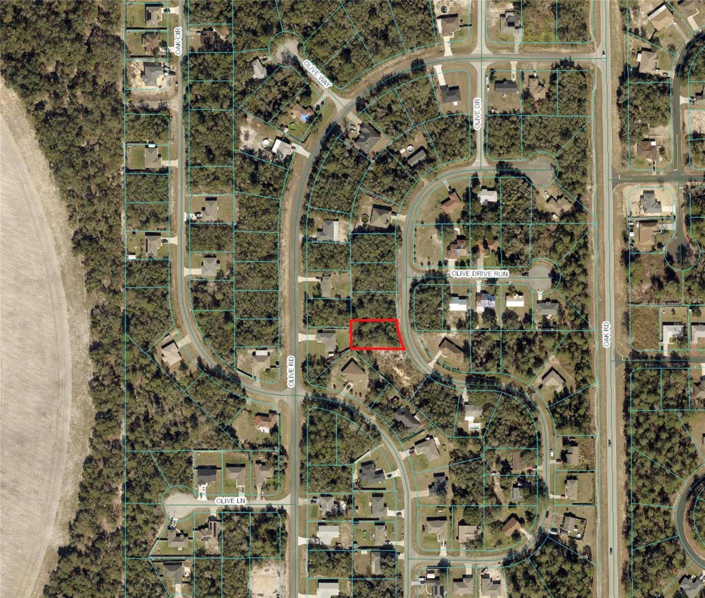 Ocala, FL 34472,OLIVE DR