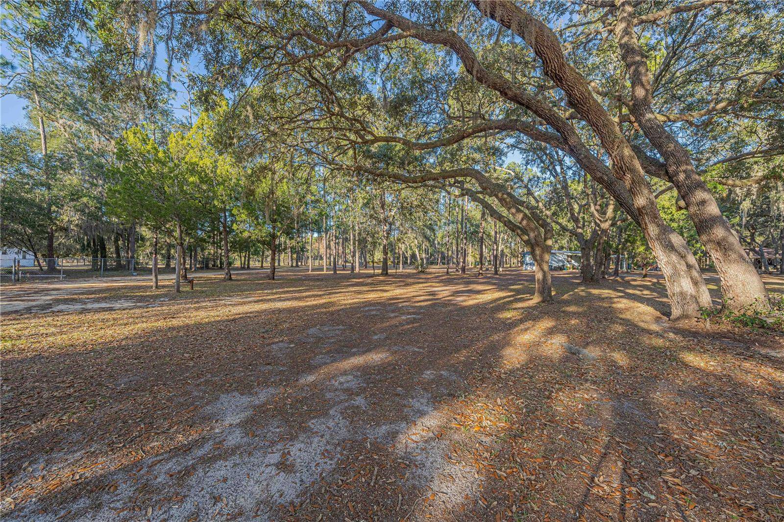 Hawthorne, FL 32640,311 STAR LAKE DR