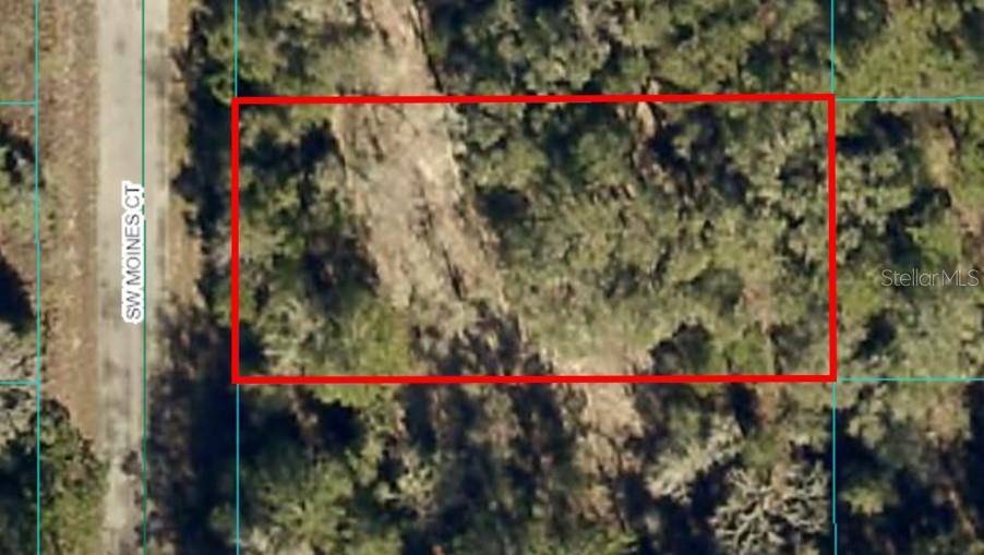 Dunnellon, FL 34431,Lot 36 SW MONINES CT