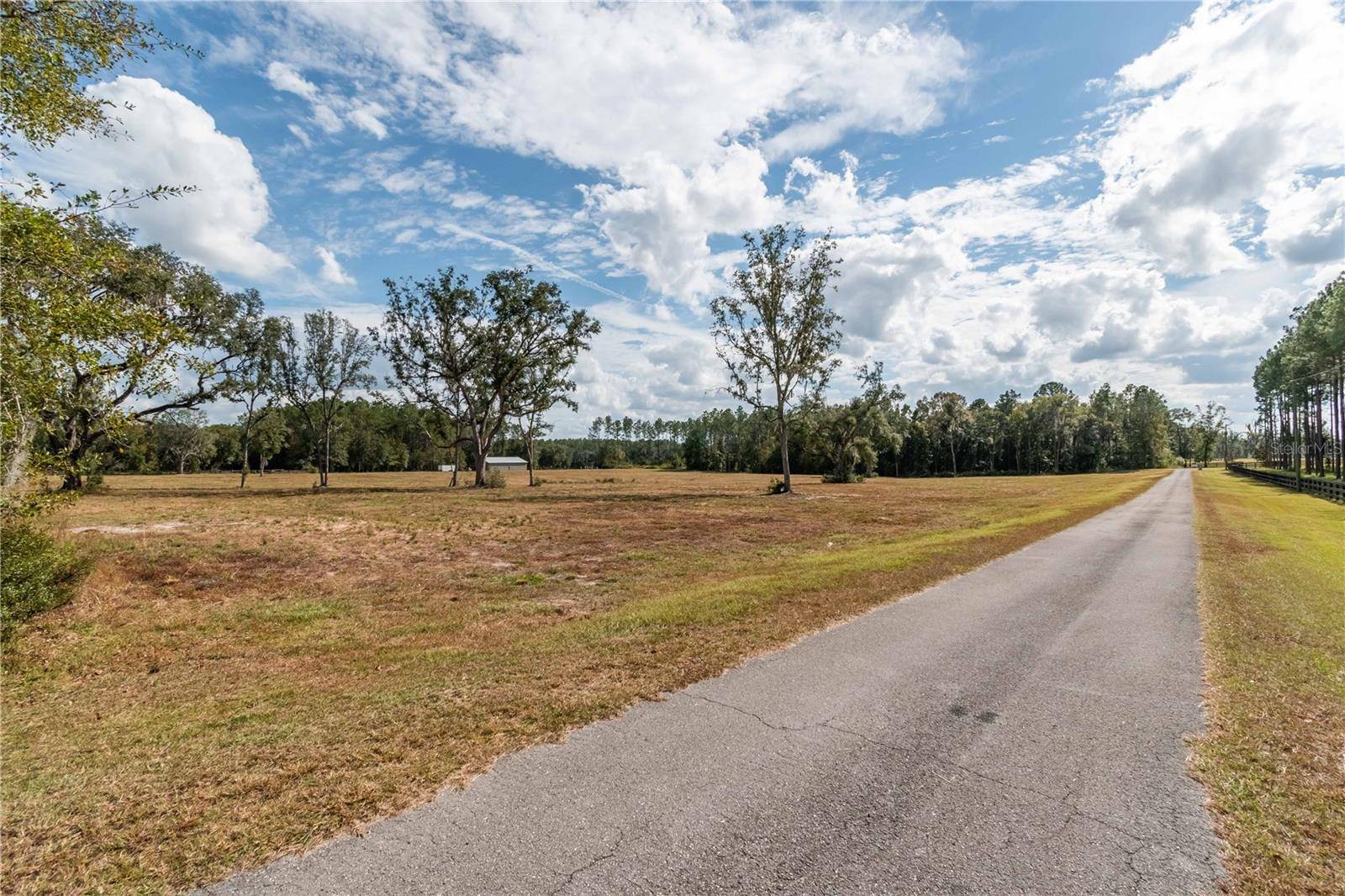 Reddick, FL 32686,NW 116TH CT