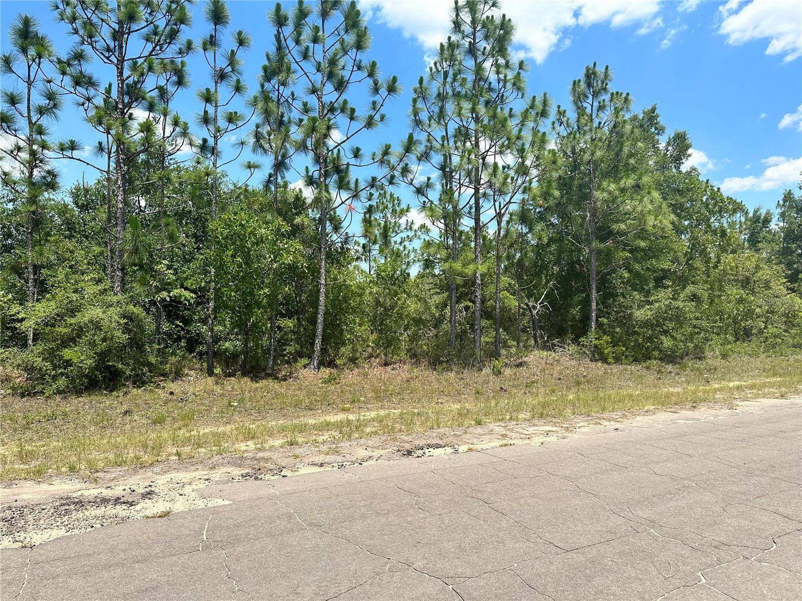 Chipley, FL 32428,000 CAVALIER DR