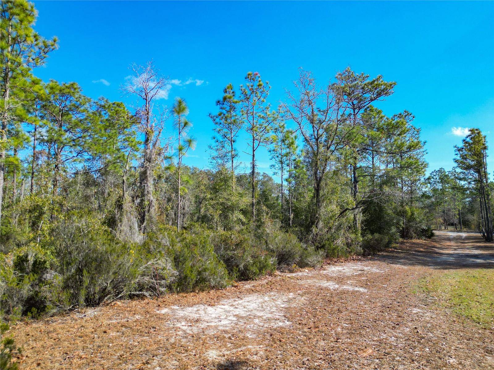 Bronson, FL 32621,TBD NE 58TH ST