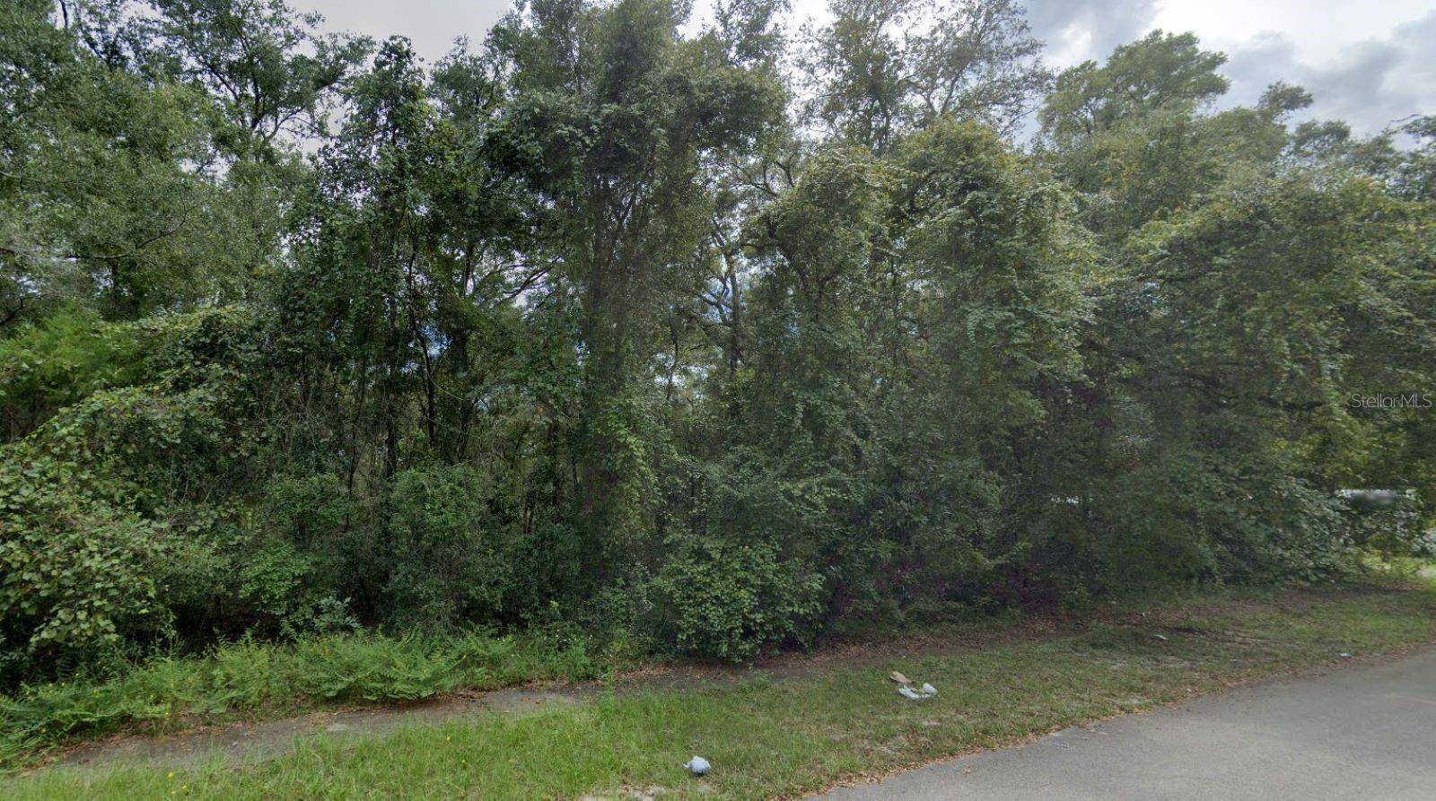 Fanning Springs, FL 32693,NW 84TH TERRACE