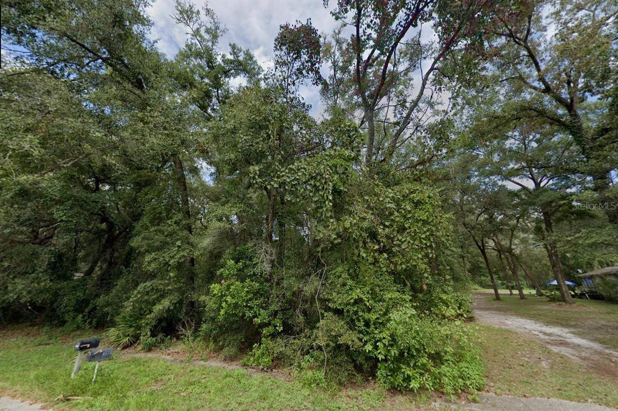 Fanning Springs, FL 32693,NW 84 TERRACE