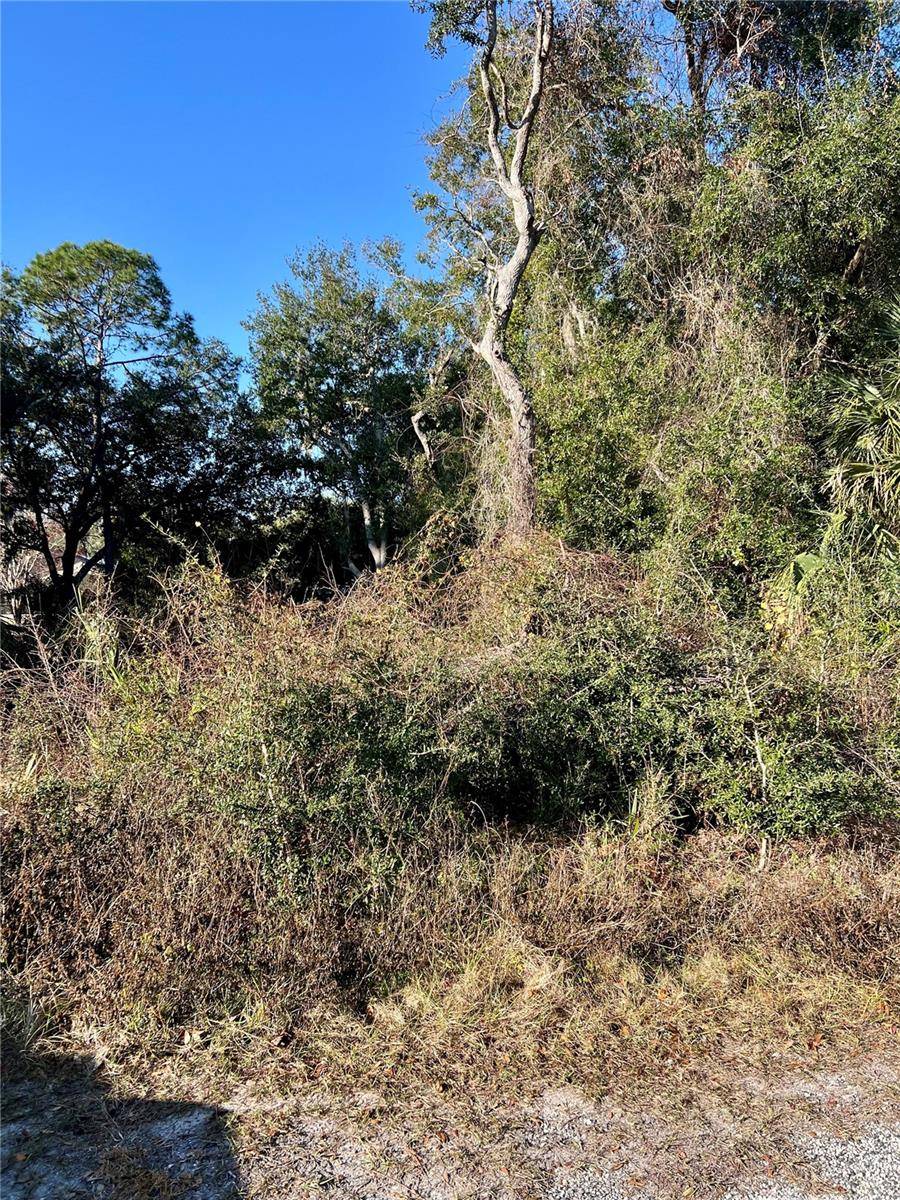 Fort Mc Coy, FL 32134,00 NE 303 CT RD