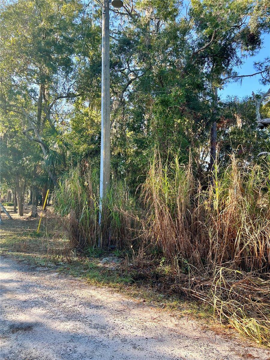 Fort Mc Coy, FL 32134,00 NE 303 CT RD