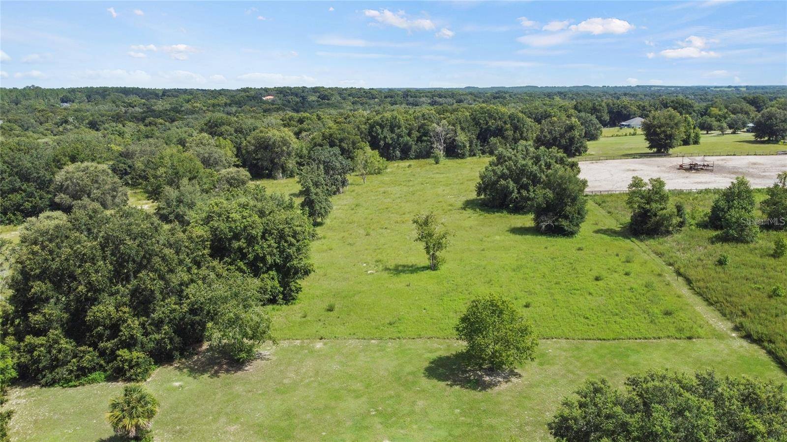 Weirsdale, FL 32195,17700 SE 155TH AVE