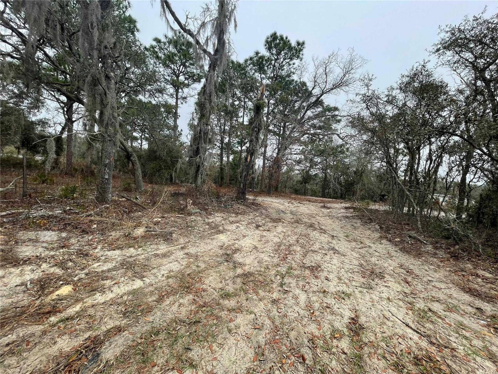 Homosassa, FL 34446,4245 W ROADRUNNER CT