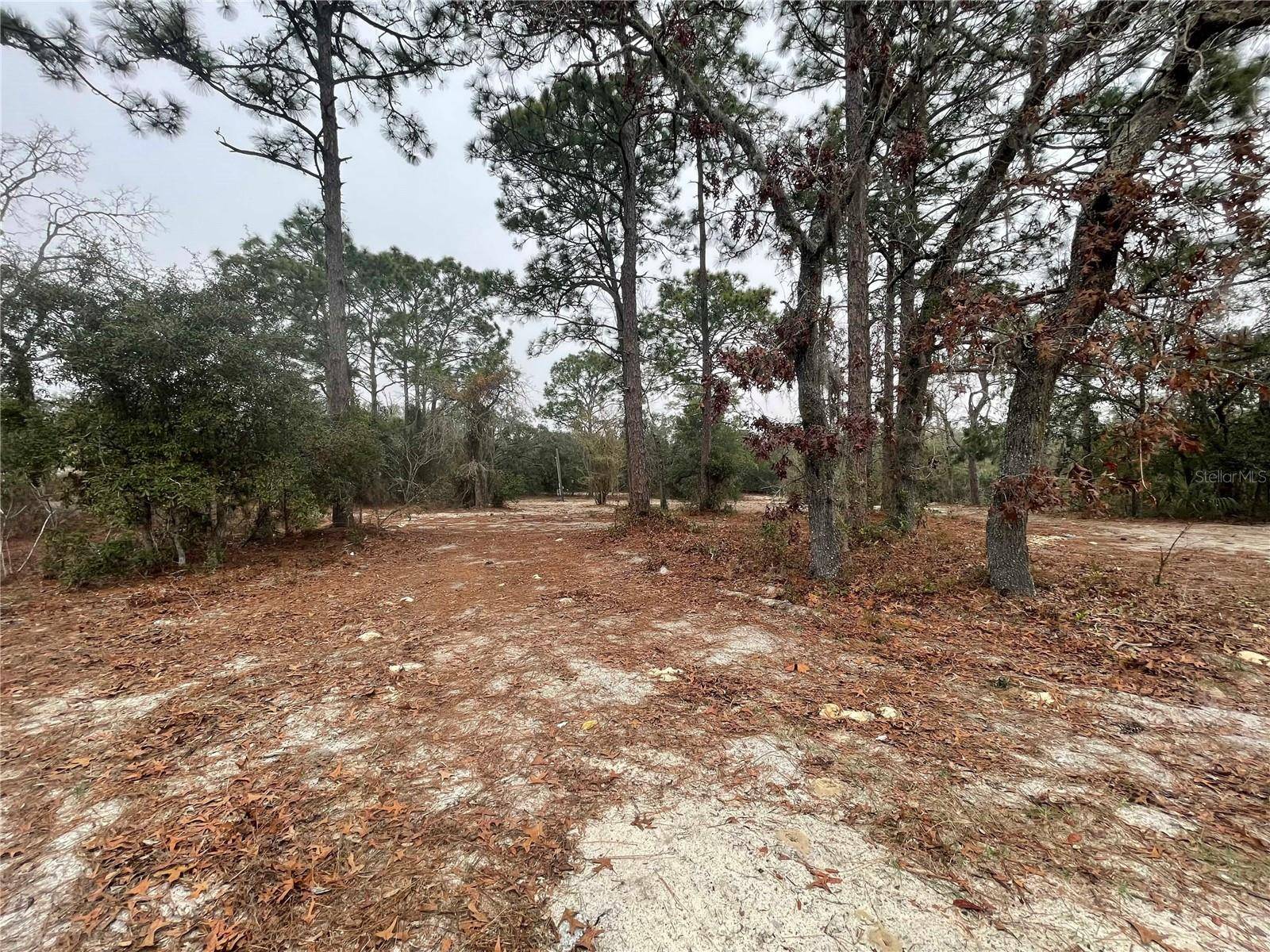 Homosassa, FL 34446,4245 W ROADRUNNER CT