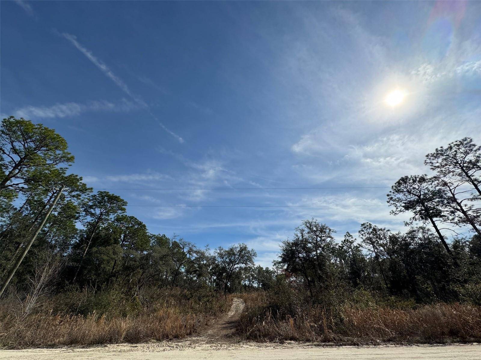 Dunnellon, FL 34432,SW 175TH CT
