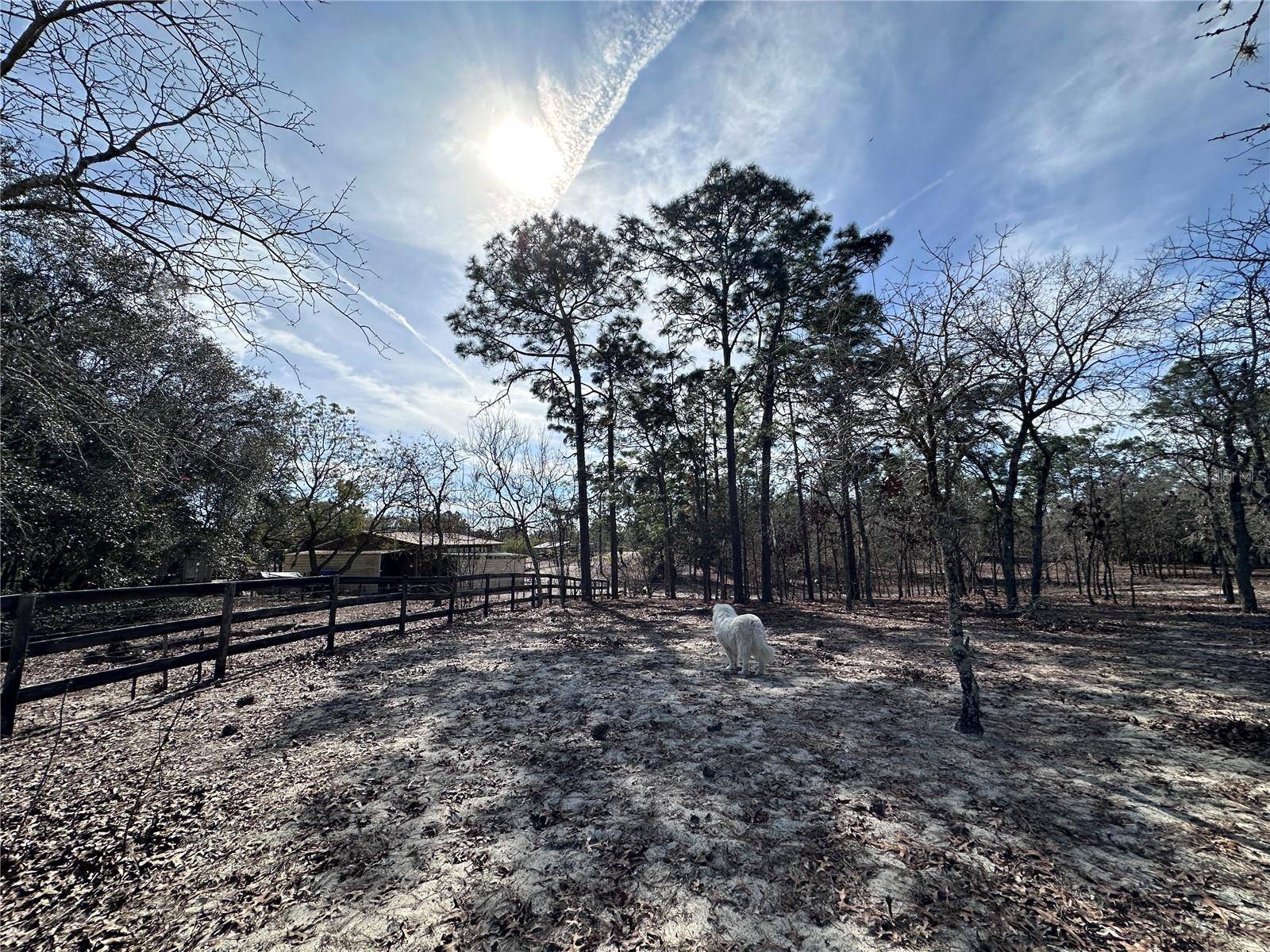 Morriston, FL 32668,TBD SE 73RD LN