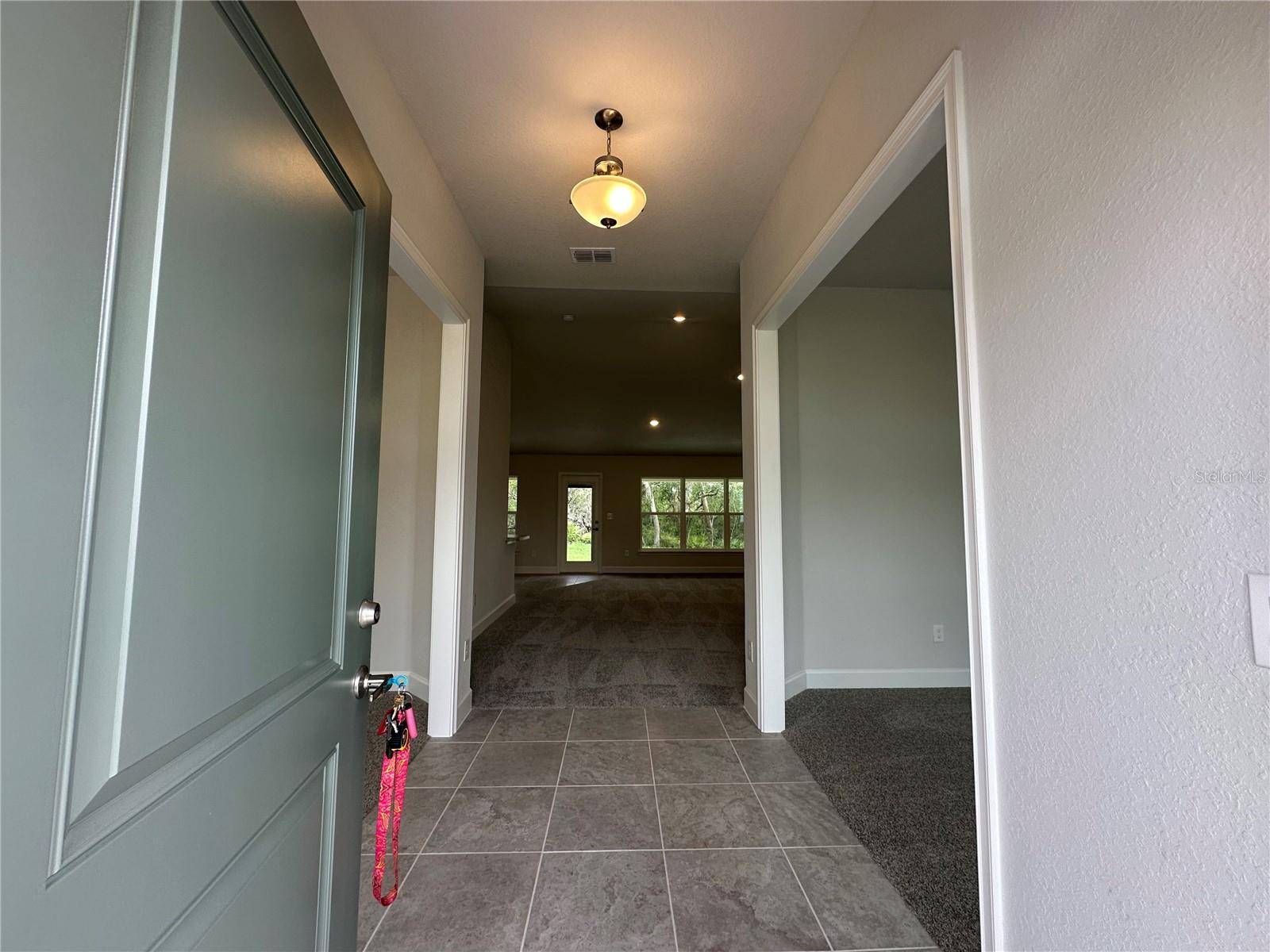 Ocala, FL 34472,77 OLIVE DR