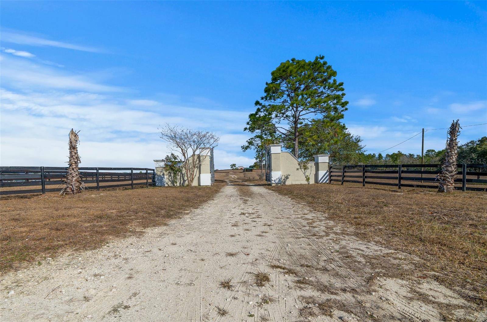 Williston, FL 32696,12451 NE 20TH ST