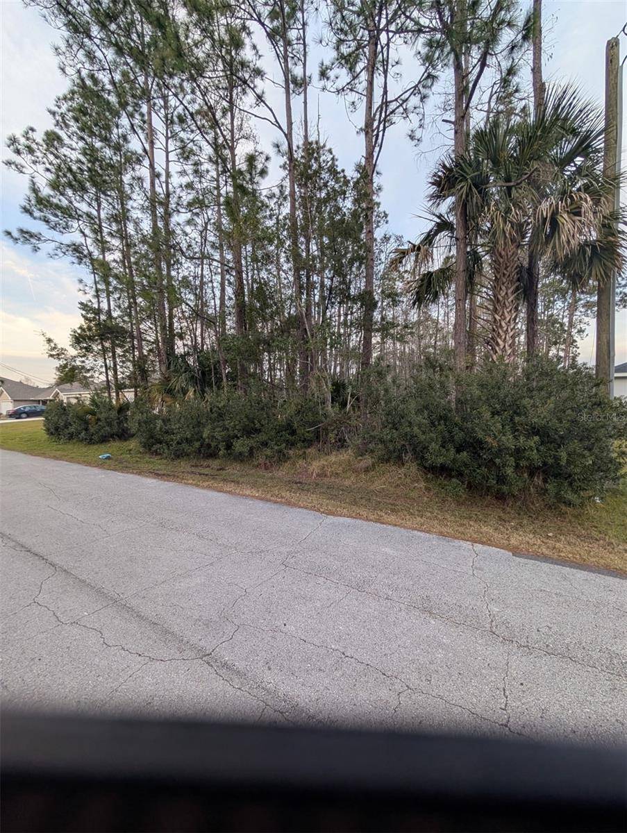 Palm Coast, FL 32164,51 LLAMA TRL