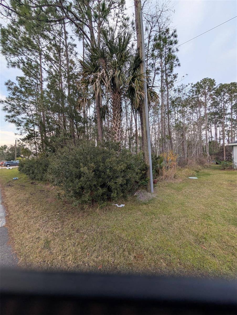 Palm Coast, FL 32164,51 LLAMA TRL