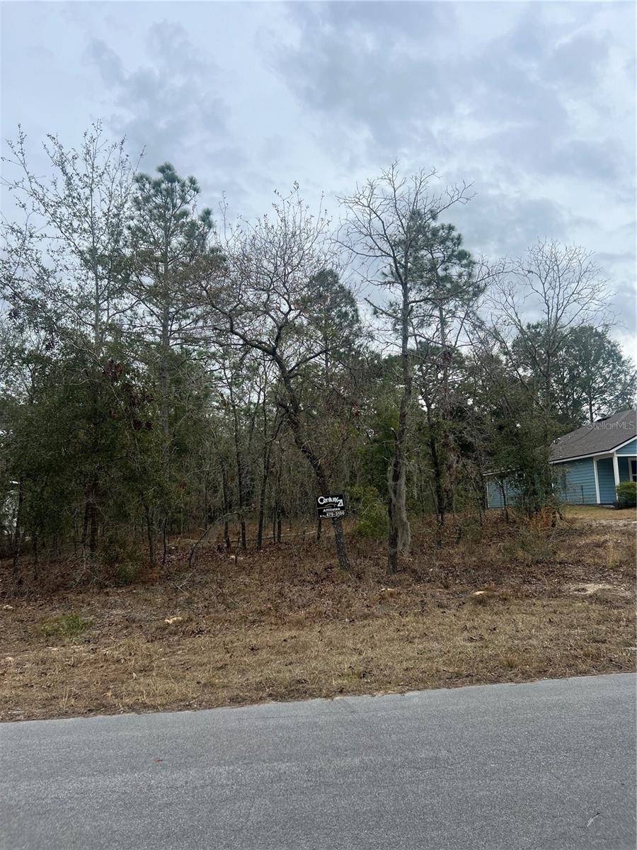 Williston, FL 32696,TBD Lot 1 NE 154TH AVENUE