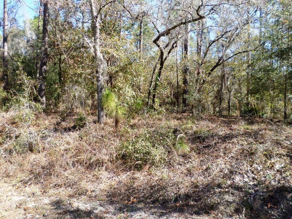 Dunnellon, FL 34431,Lot 2 SW 215TH AVE