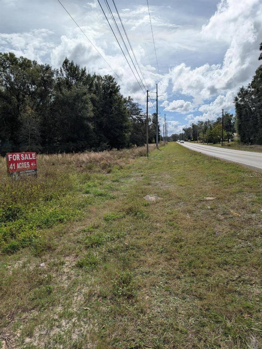 Weirsdale, FL 32195,0 SE 176TH PL