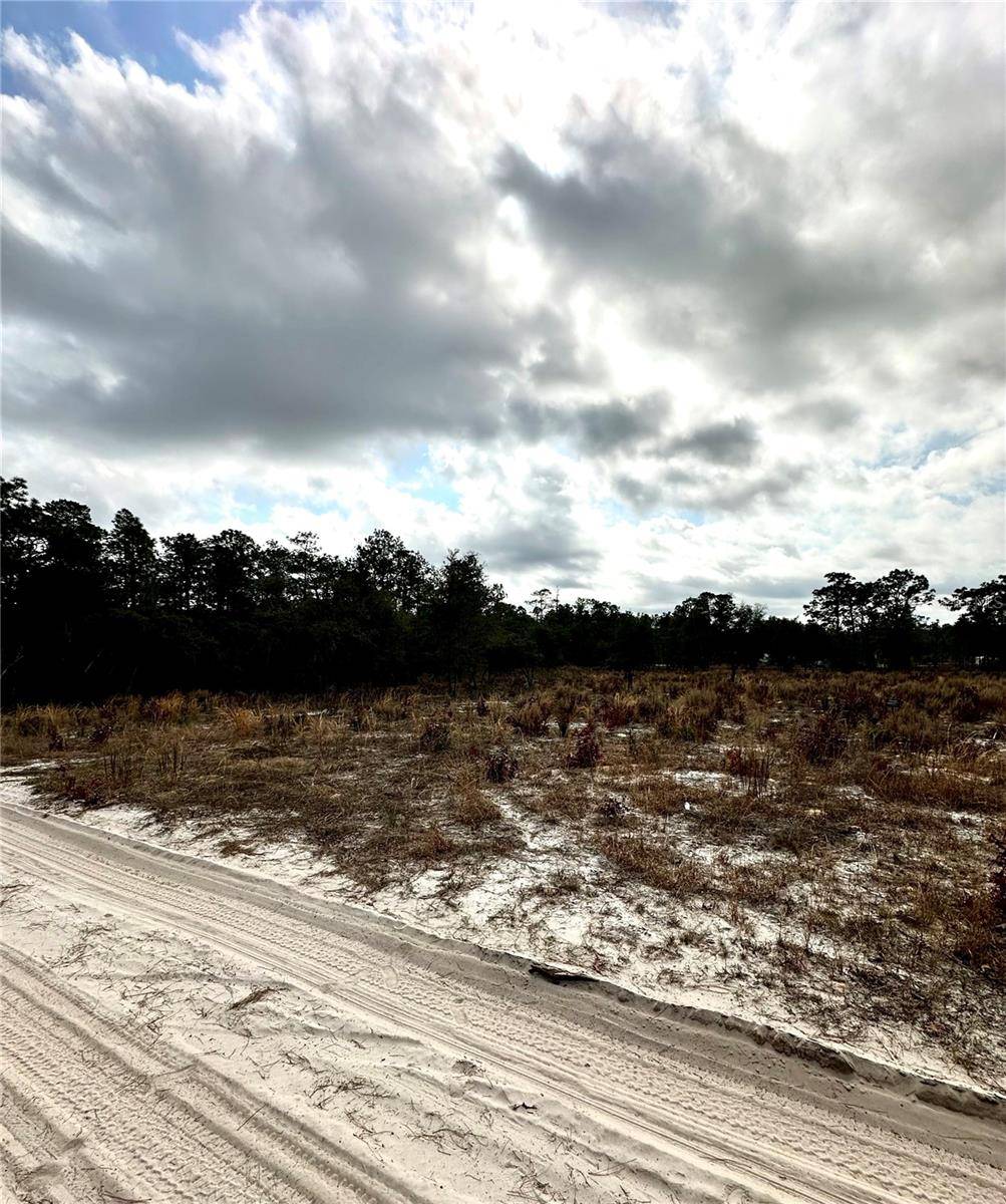 Dunnellon, FL 34432,SW 93RD PL