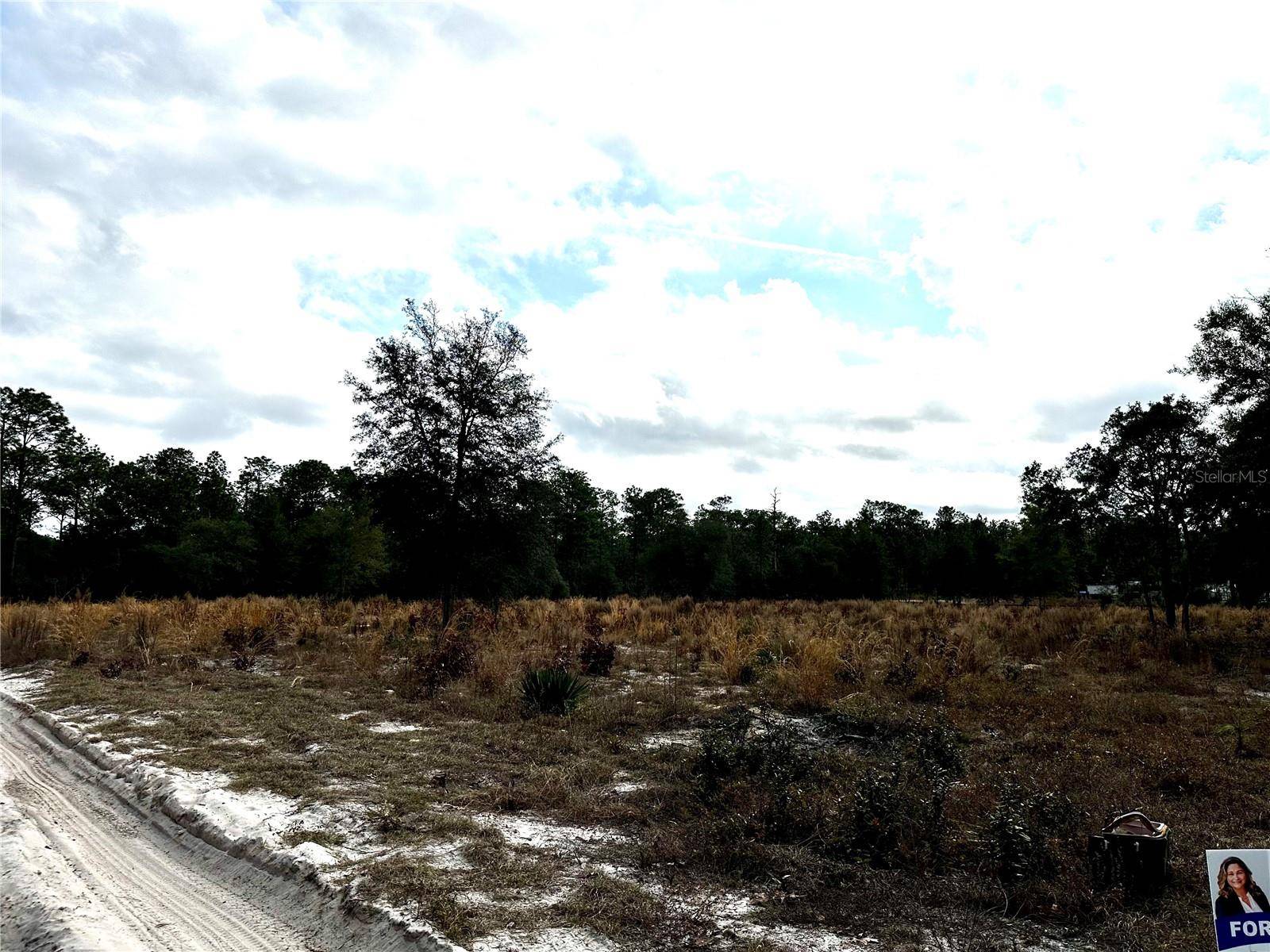 Dunnellon, FL 34432,SW 93RD PL