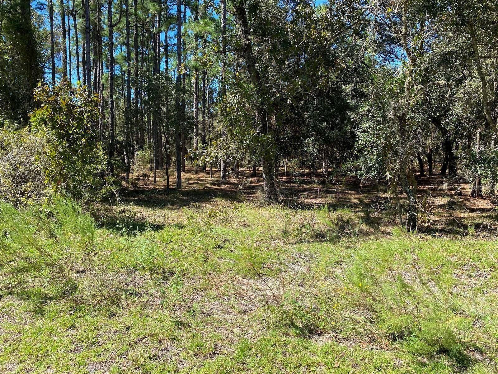 Dunnellon, FL 34431,00 SE 134TH TER