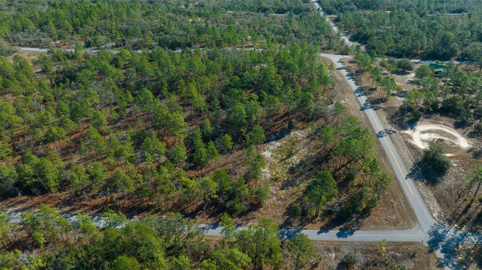 Dunnellon, FL 34431,TBD SE 139TH CT