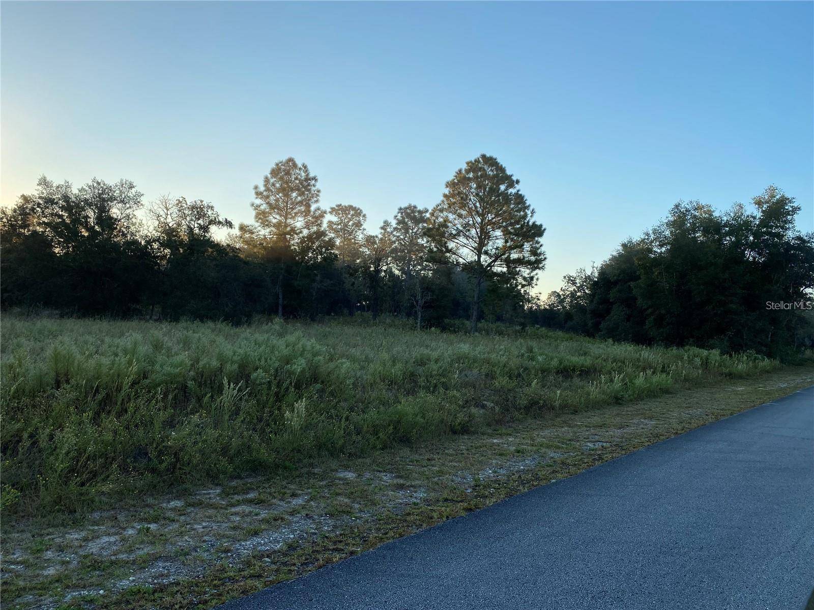 Dunnellon, FL 34431,00 SW IRIS CT