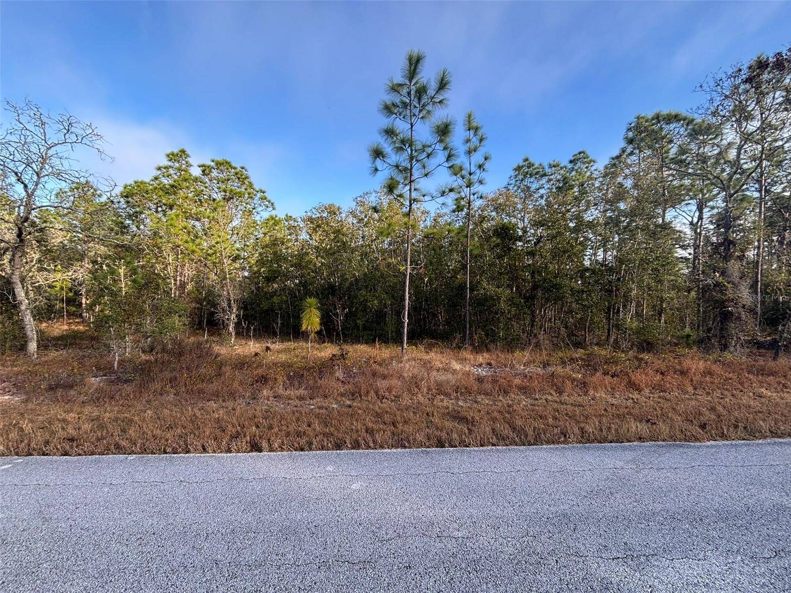 Dunnellon, FL 34431,TBD SW ANCHER BLVD