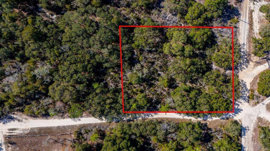 Bronson, FL 32621,00 NE 131ST TERRACE
