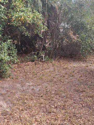 Ocklawaha, FL 32179,19100 SE 95TH ST