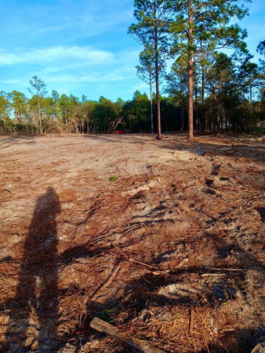 Dunnellon, FL 34431,SE 133RD AVE