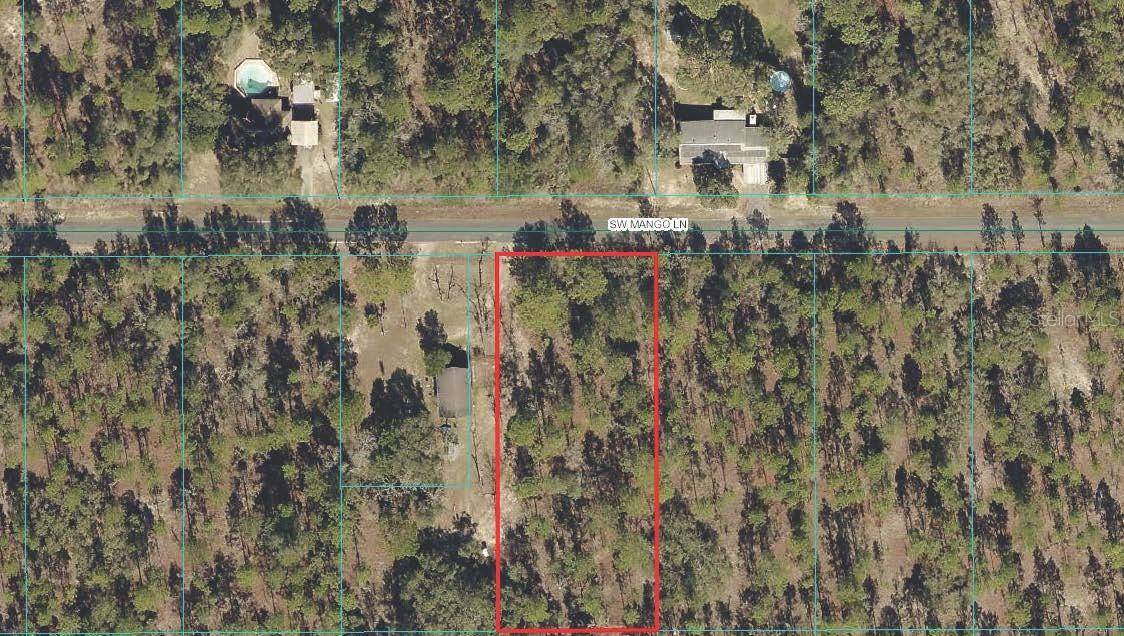 Dunnellon, FL 34431,SW MANGO LN