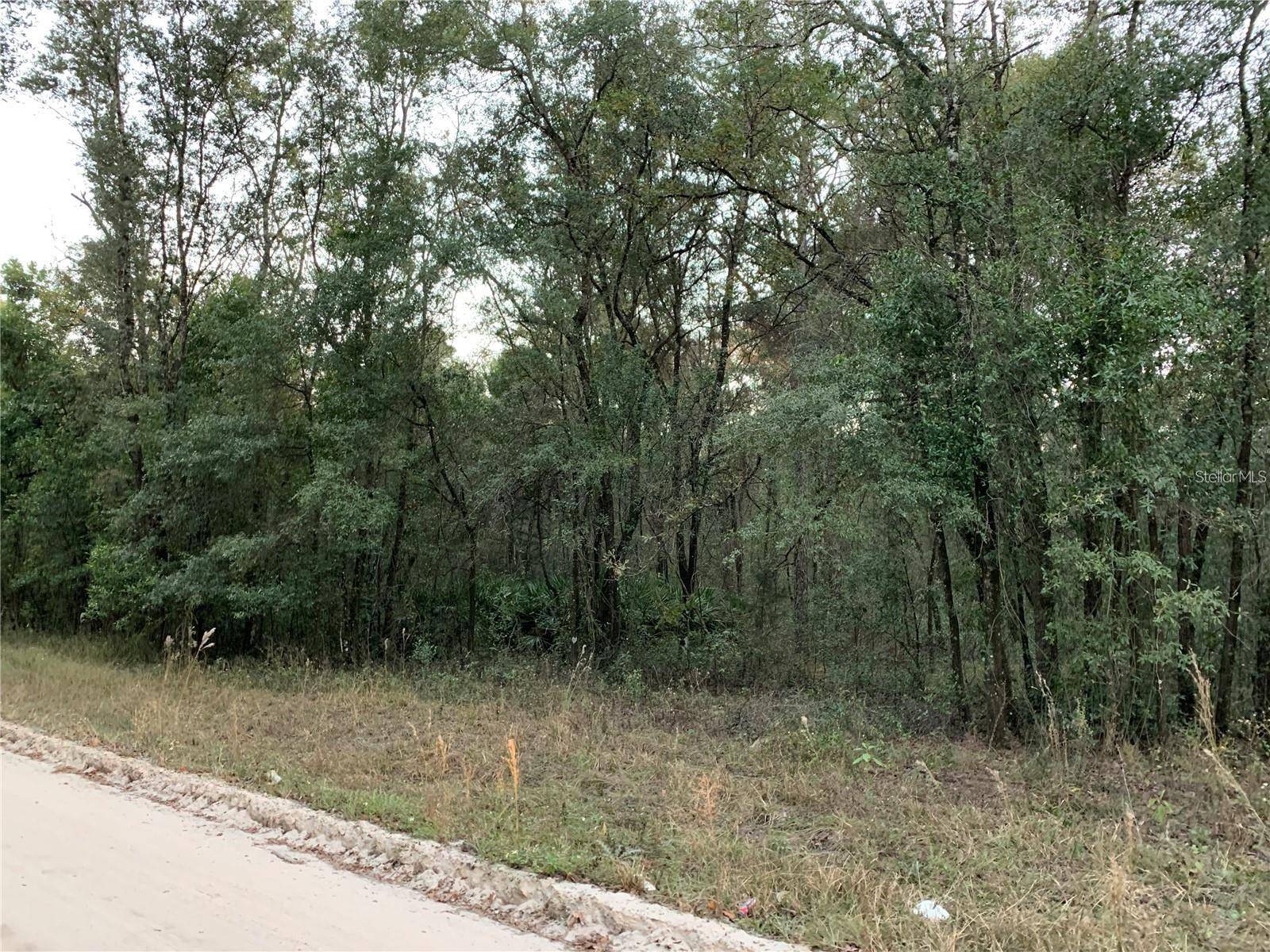 Williston, FL 32696,tbd NE 160TH AVE