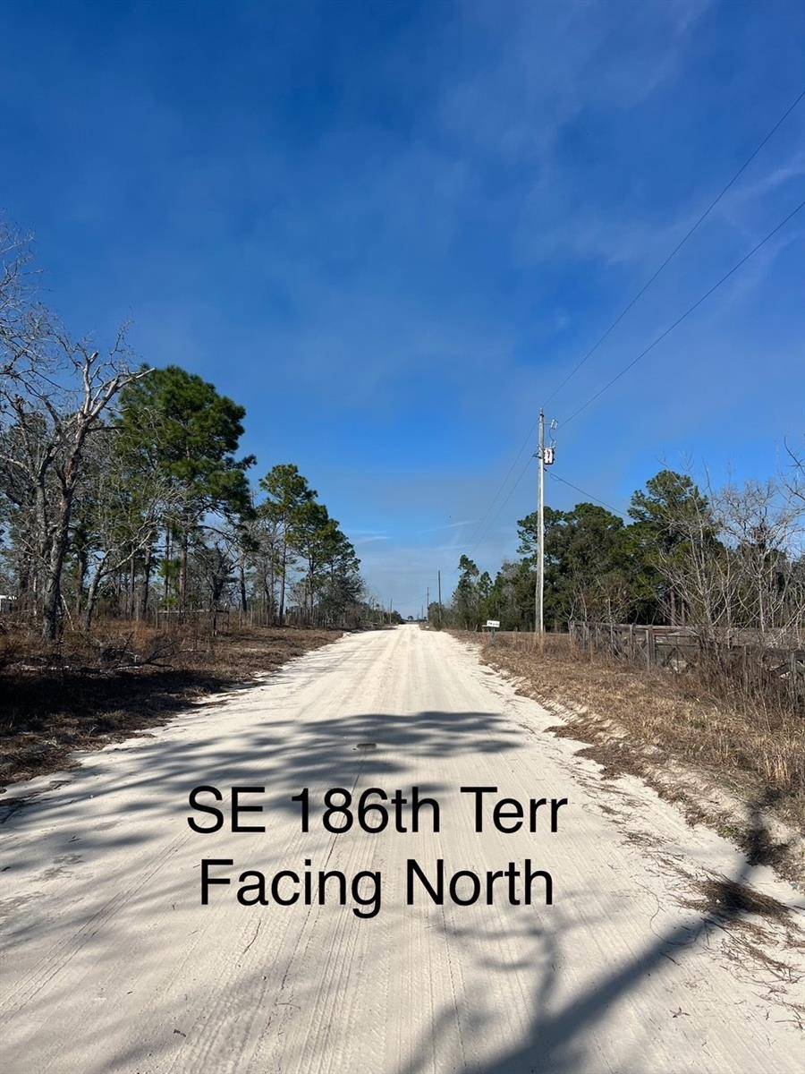 Morriston, FL 32668,TBD SE 185 TER